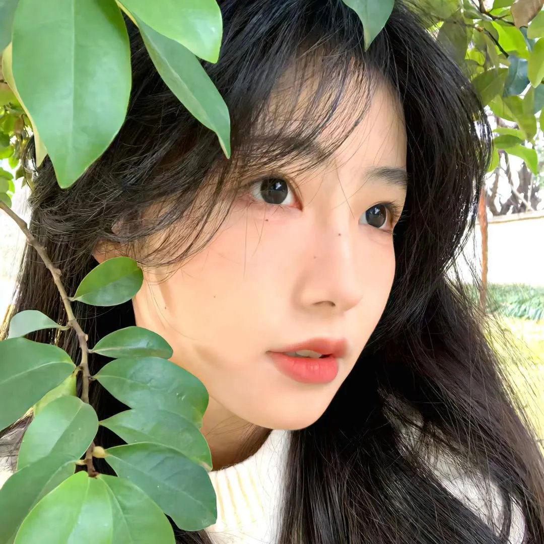 最后相爱的日子
